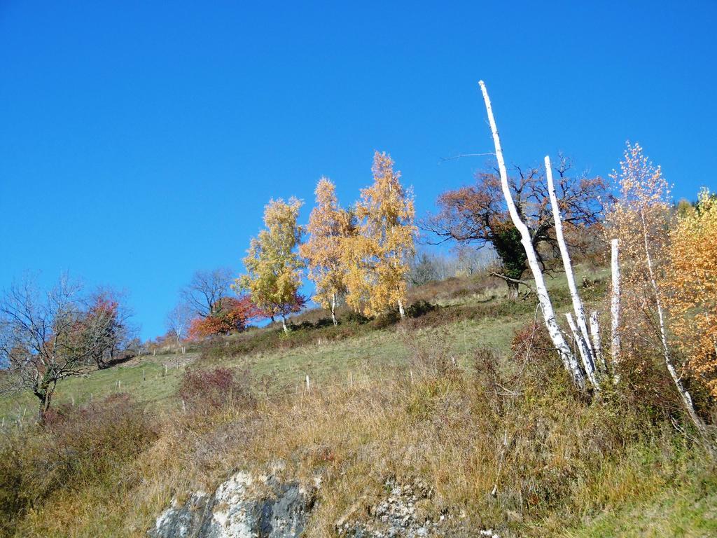 Pensión Au Coeur Du En Belledonne Vers Prapoutel Les 7 Laux